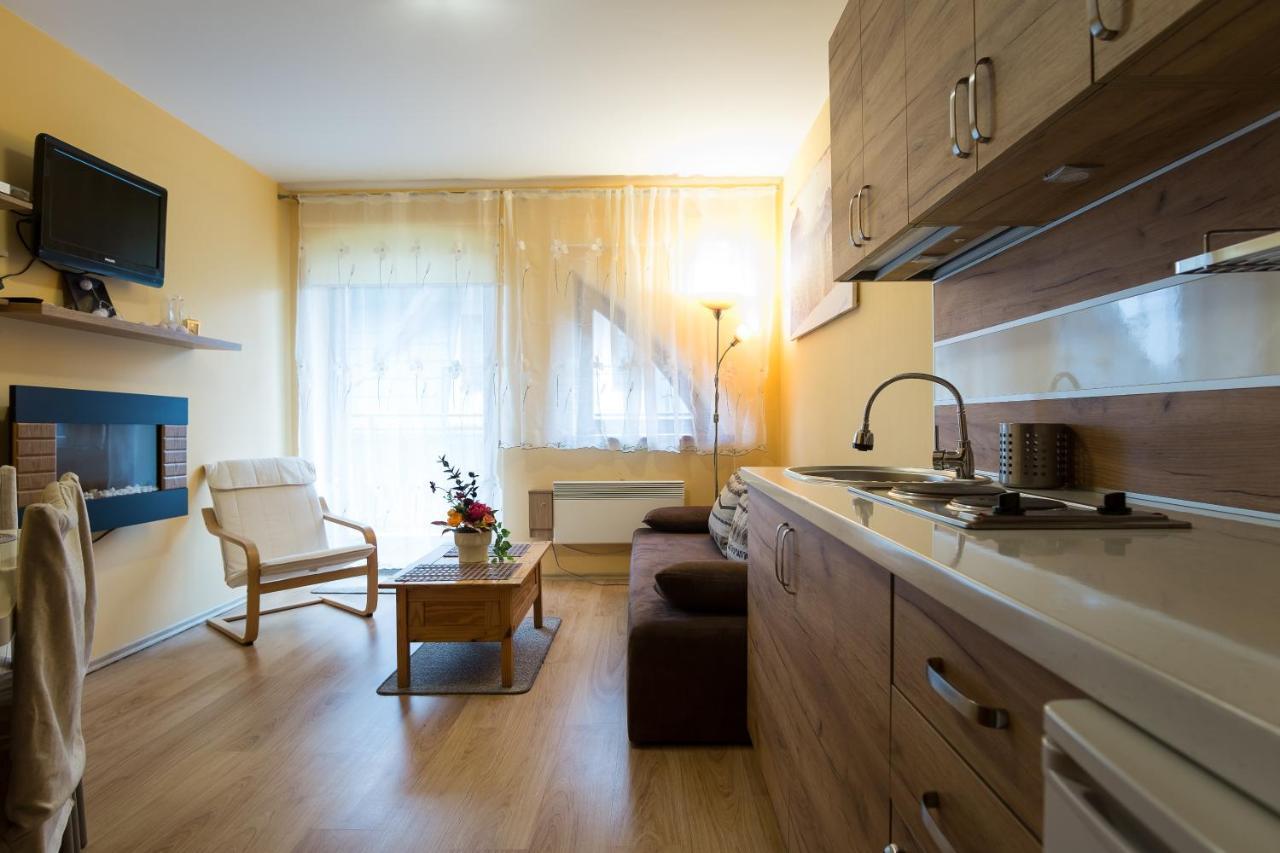 Ferienwohnung Panorama Tatrzanska Kościelisko Exterior foto